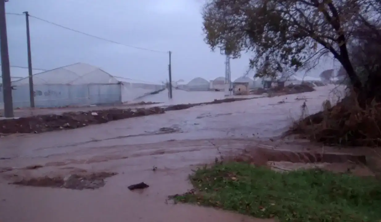 1500 Dönüm Tarım Alanı Zarar Gördü! Çiftçi: 'Ben Bittim Artık' 10